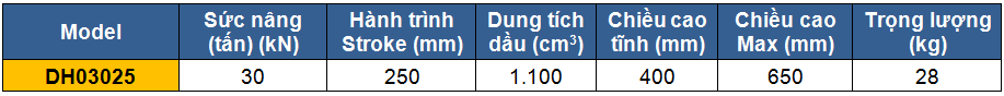 Kích 2 chiều rỗng tâm 30 tấn 250 mm, Double acting hollow piston cylinders, kich 30 tan 250 mm